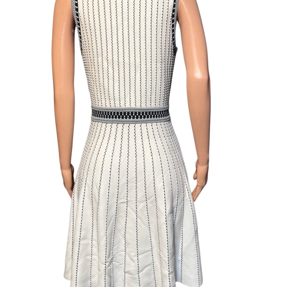 Milly Black and White Striped Mini Dress - Picture 4 of 8